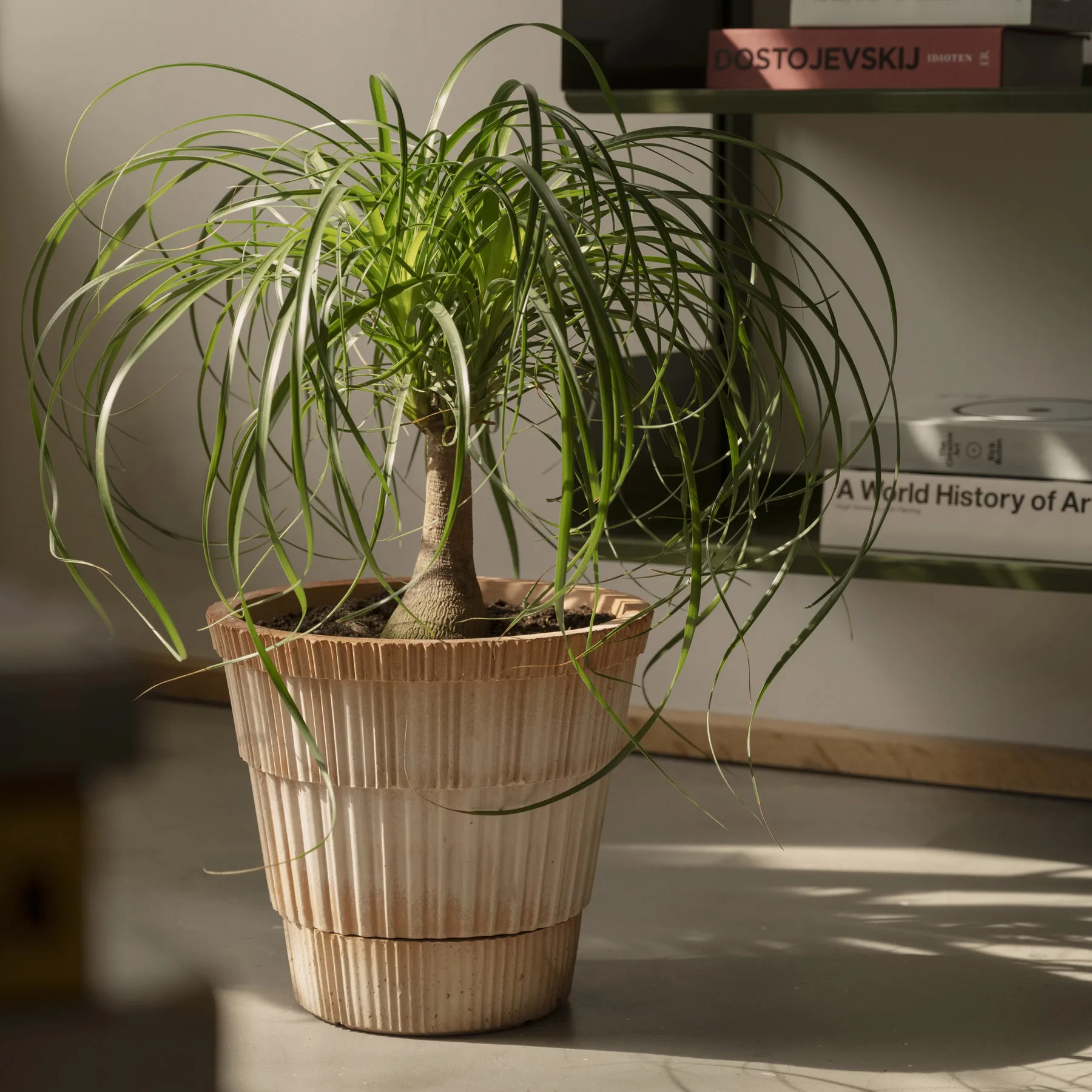 Atlas raw Topf mit Untersetzer, Rosa, Ø25 cm Bergs Potter