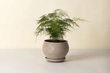 Delphi Topf mit Untersetzer 2-teilig - Grey, Ø24 cm, niedrig - Bergs Potter