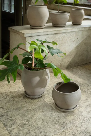 Delphi Topf mit Untersetzer 2-teilig - Grey, Ø24 cm, niedrig - Bergs Potter