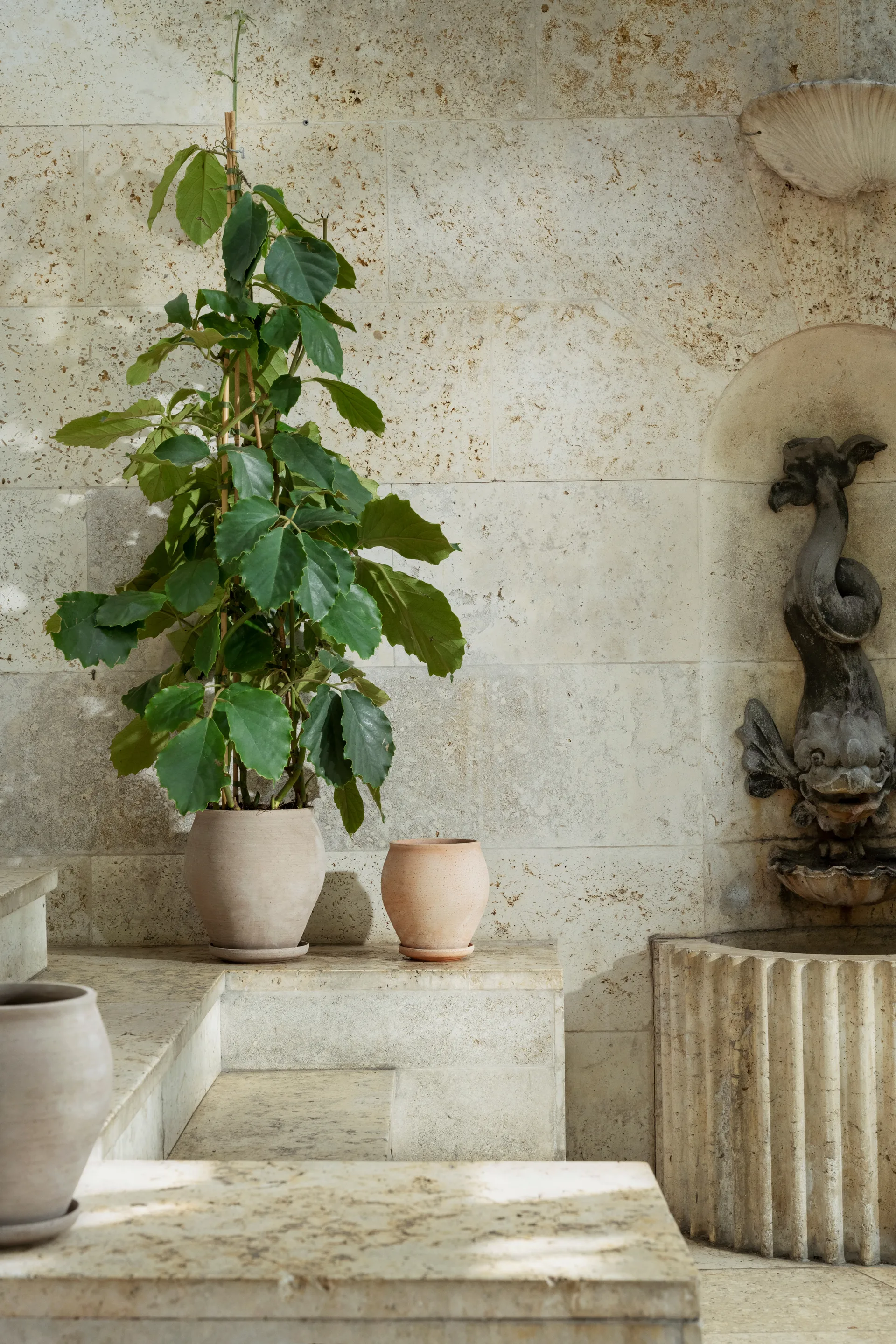 Delphi Topf mit Untersetzer 2-teilig, Grey, Ø26 cm Bergs Potter