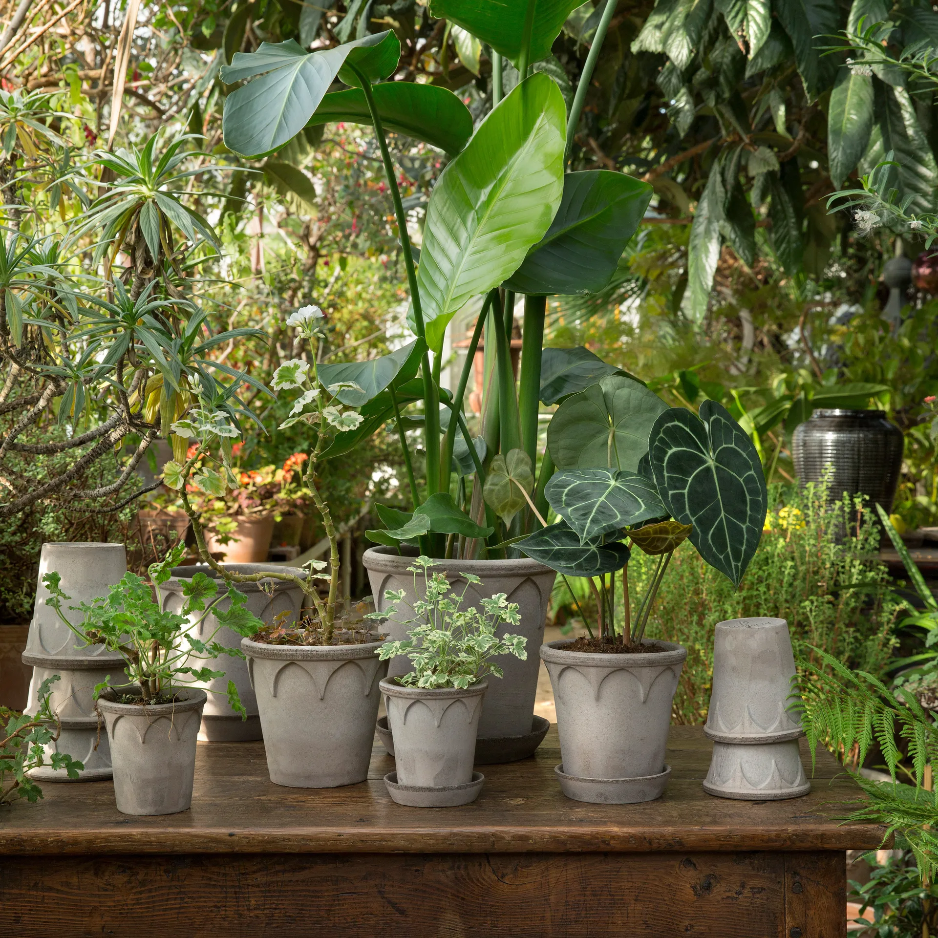 Elizabeth Blumentopf Ø14cm, Grey Bergs Potter