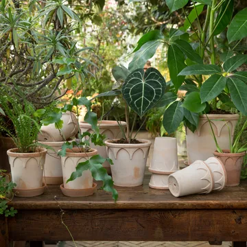 Elizabeth Blumentopf Ø25cm - Rose - Bergs Potter