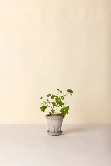 Fleur Übertopf mit Untersetzer 2-teilig - Grey, Ø16 cm - Bergs Potter