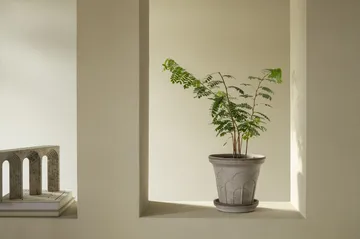 Fleur Übertopf mit Untersetzer 2-teilig - Grey, Ø21 cm - Bergs Potter