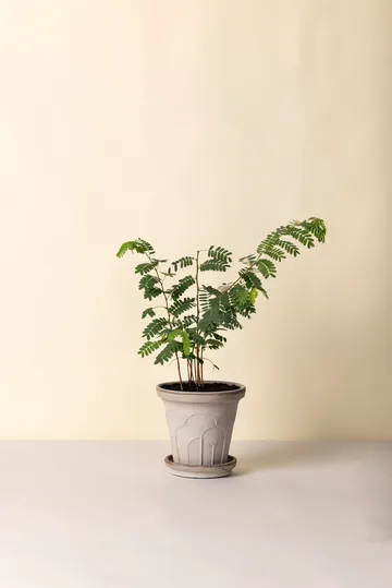 Fleur Übertopf mit Untersetzer 2-teilig - Grey, Ø21 cm - Bergs Potter