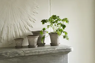 Fleur Übertopf mit Untersetzer 2-teilig - Grey, Ø21 cm - Bergs Potter