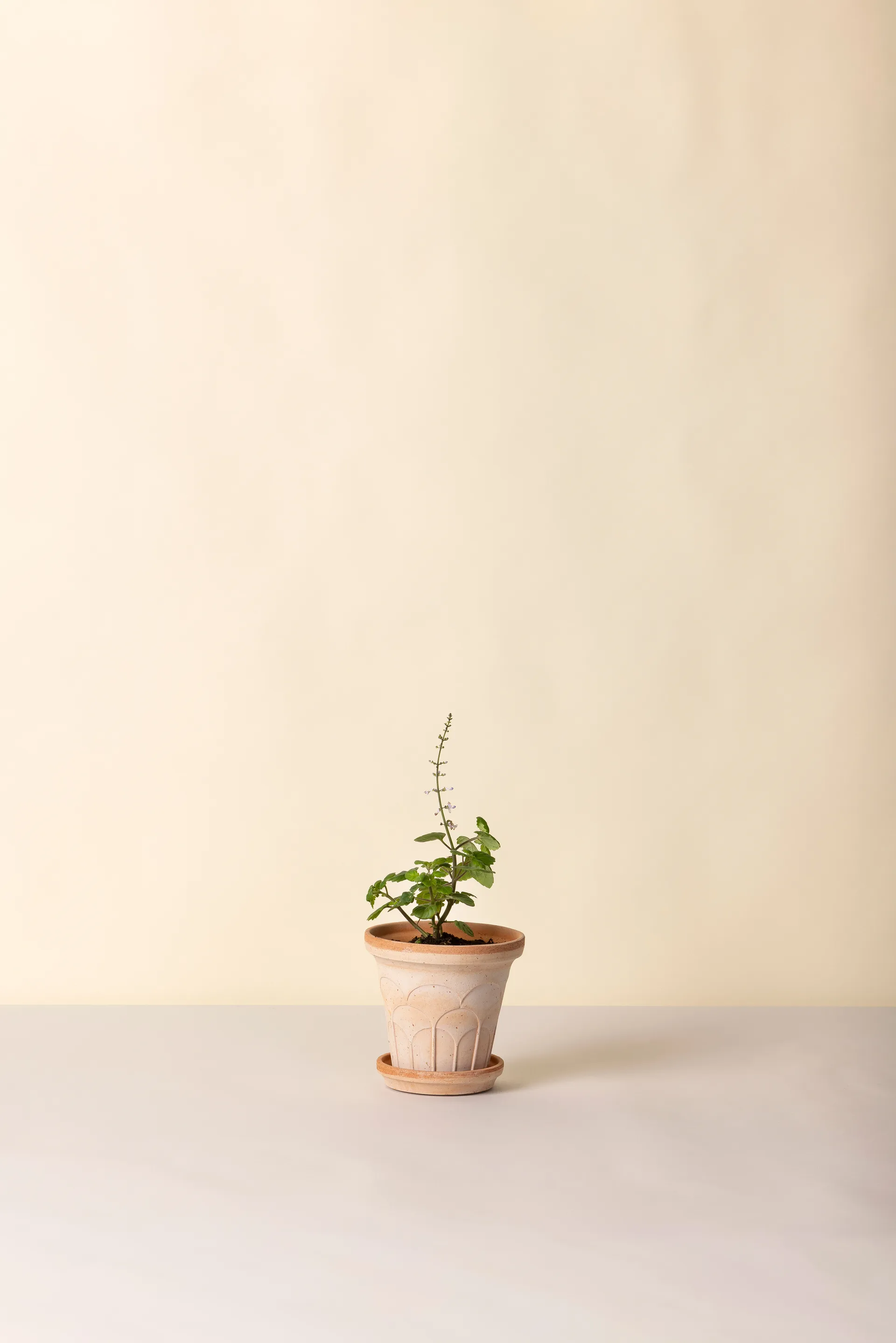 Fleur Übertopf mit Untersetzer 2-teilig, Rosa, Ø14 m Bergs Potter