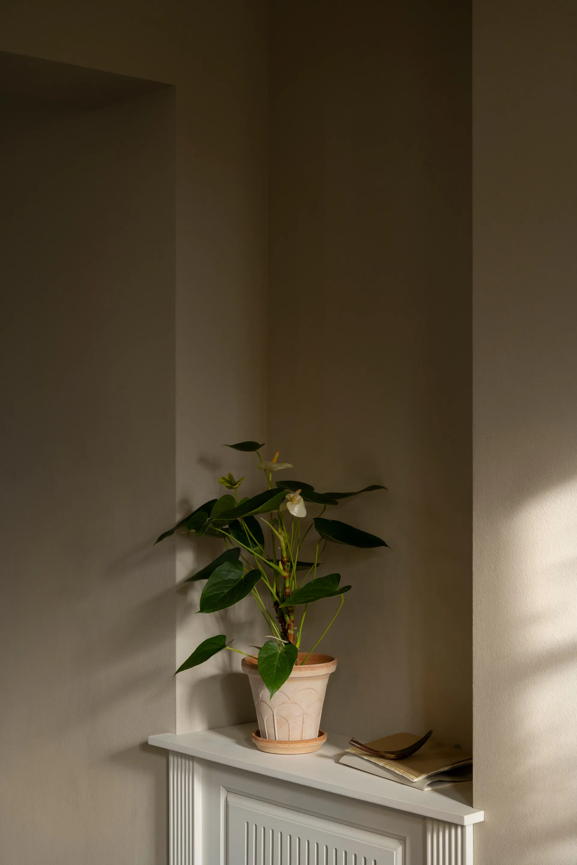 Fleur Übertopf mit Untersetzer 2-teilig, Rosa, Ø16 cm Bergs Potter