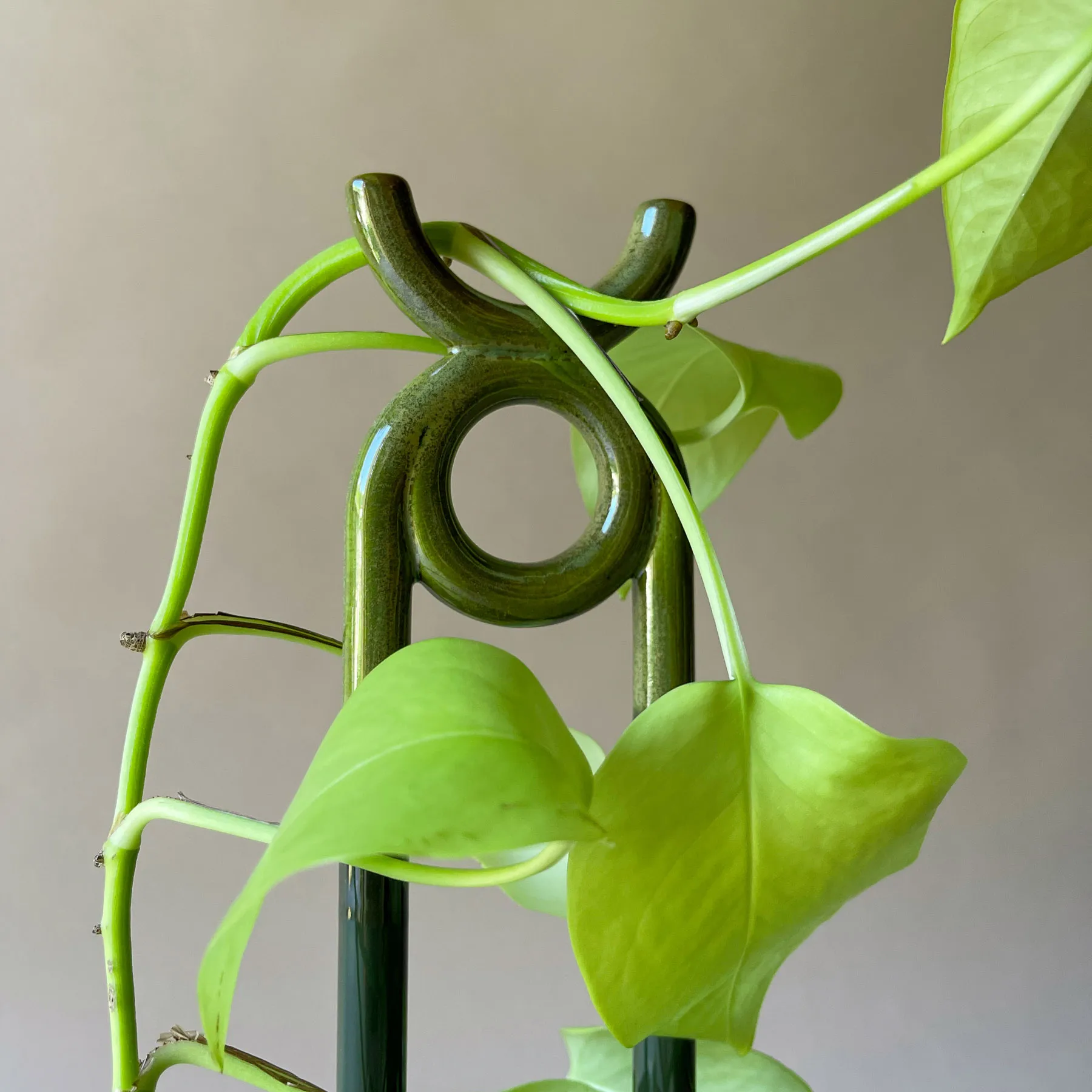 Folk Oni Pflanzenstütze, Moss green Bergs Potter