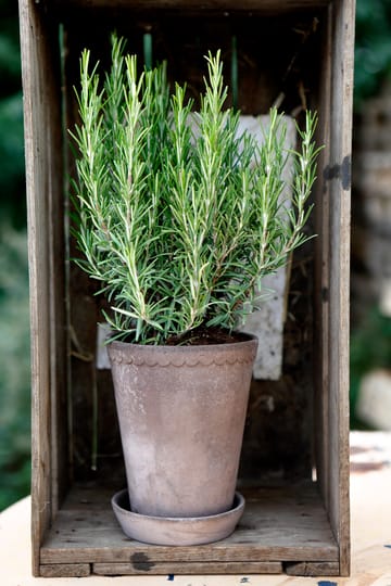 Helena Blumentopf hoch Ø14cm - Grau - Bergs Potter