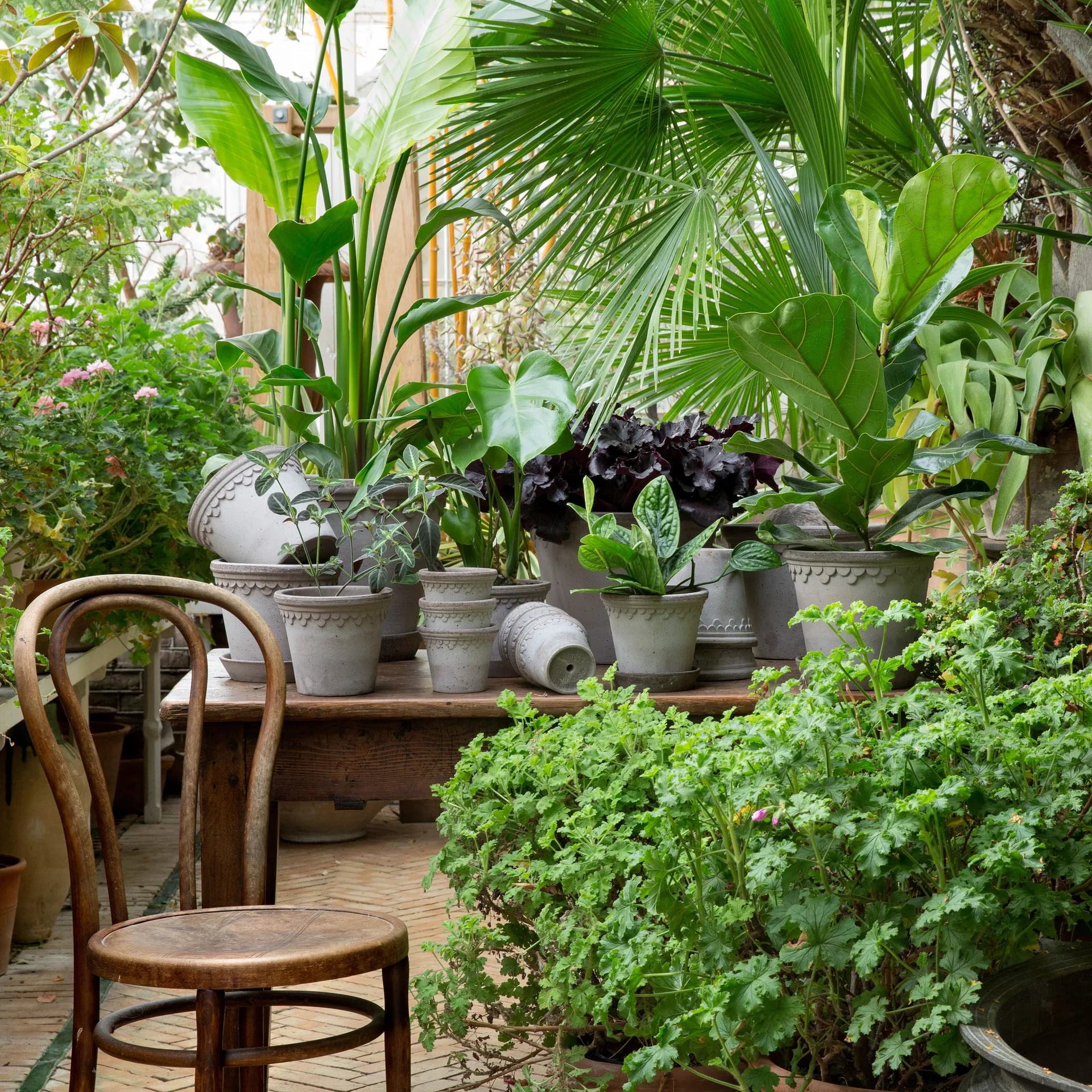 Københavner Blumentopf Ø12cm, Grau Bergs Potter