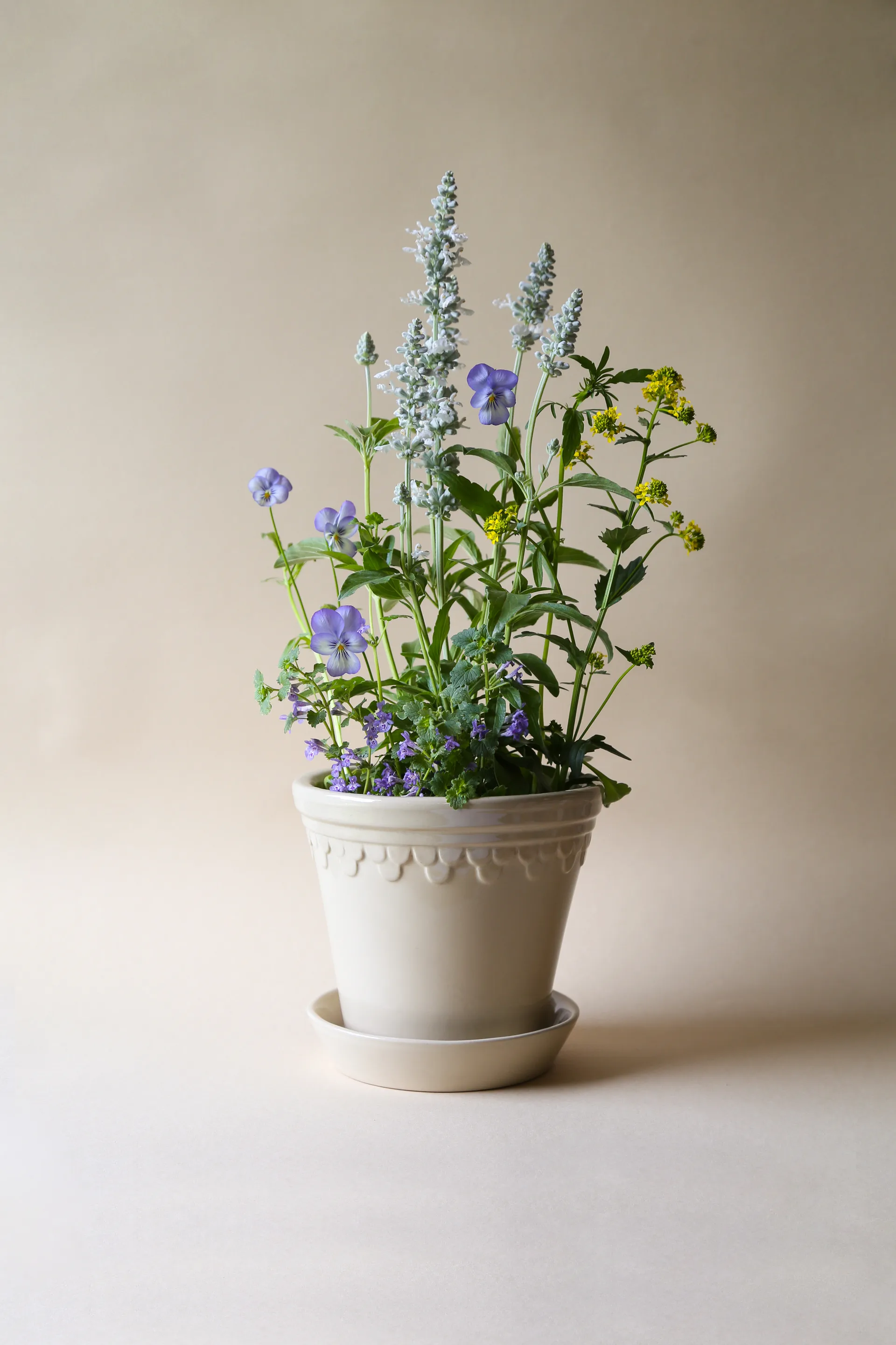Københavner Blumentopf glasiert Ø10cm, Sand Stone Bergs Potter