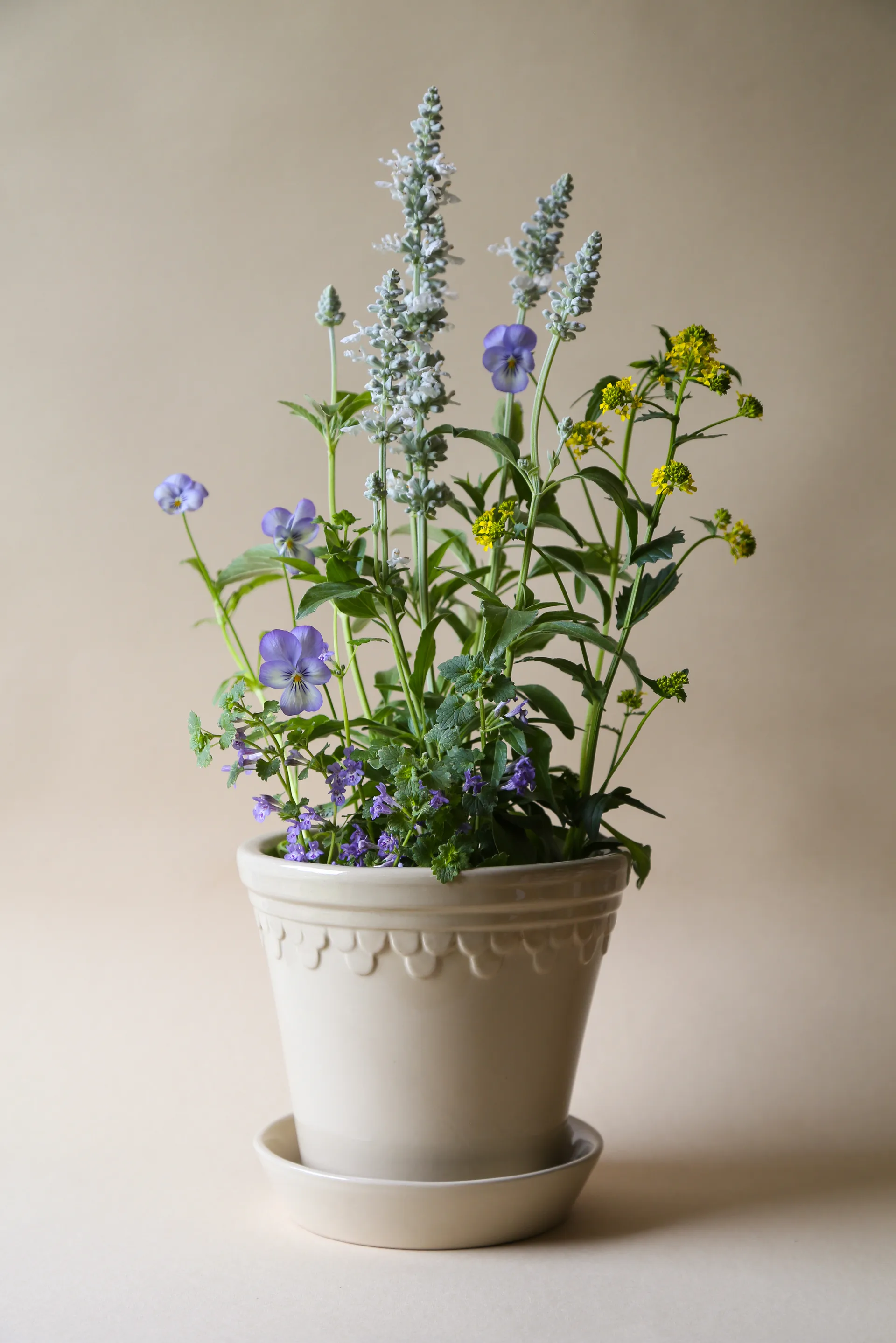 Københavner Blumentopf glasiert Ø12cm, Sand Stone Bergs Potter