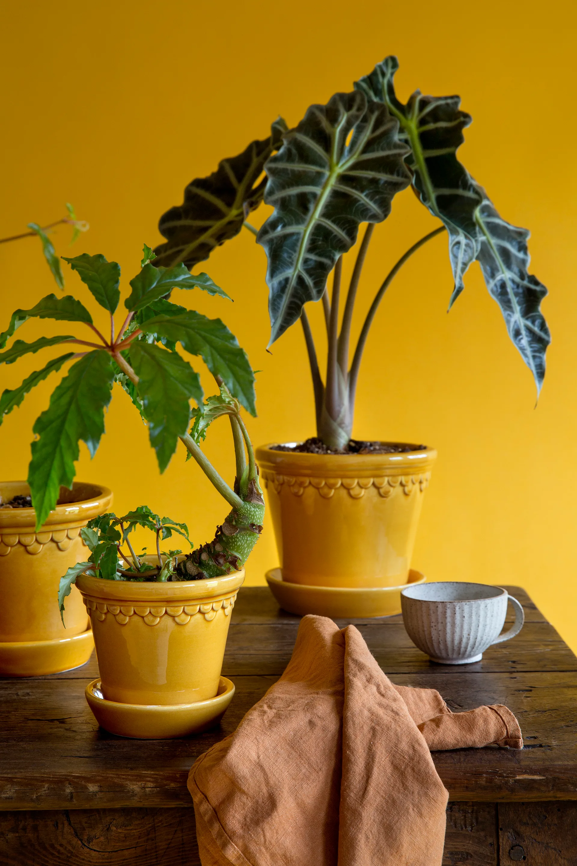 Københavner Blumentopf glasiert Ø14cm, Gelb Bergs Potter
