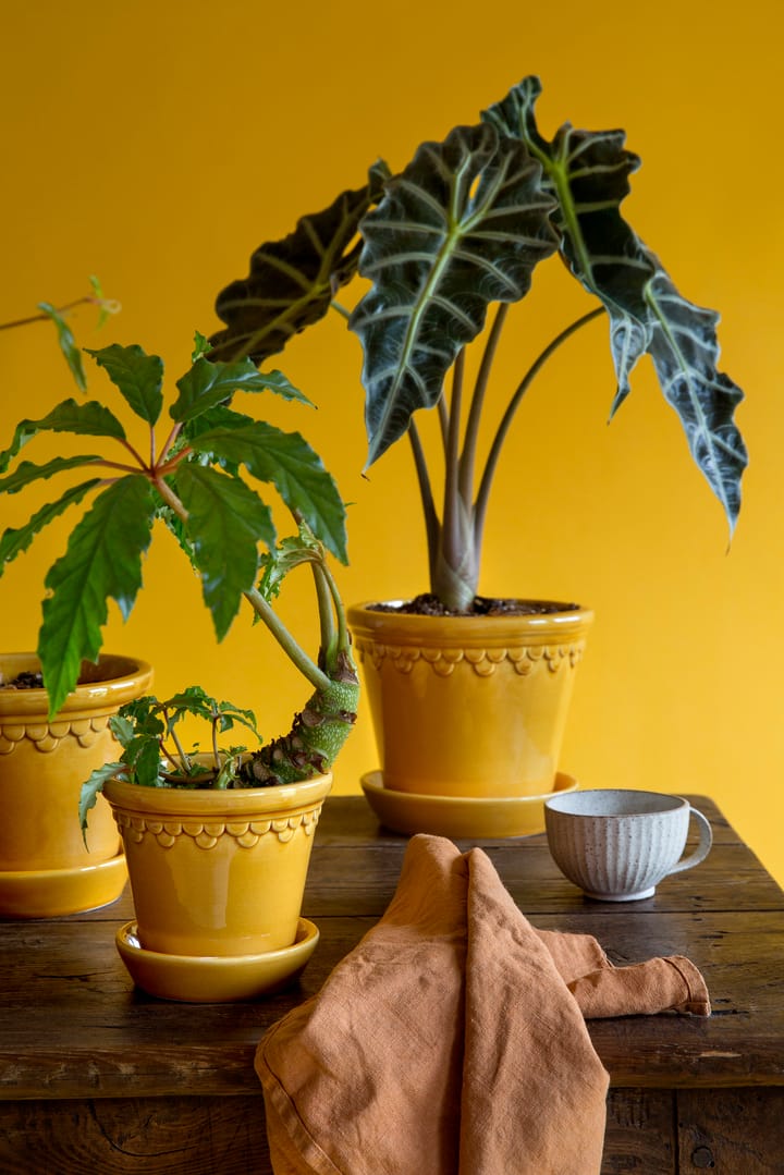 Københavner Blumentopf glasiert Ø14cm, Gelb Bergs Potter