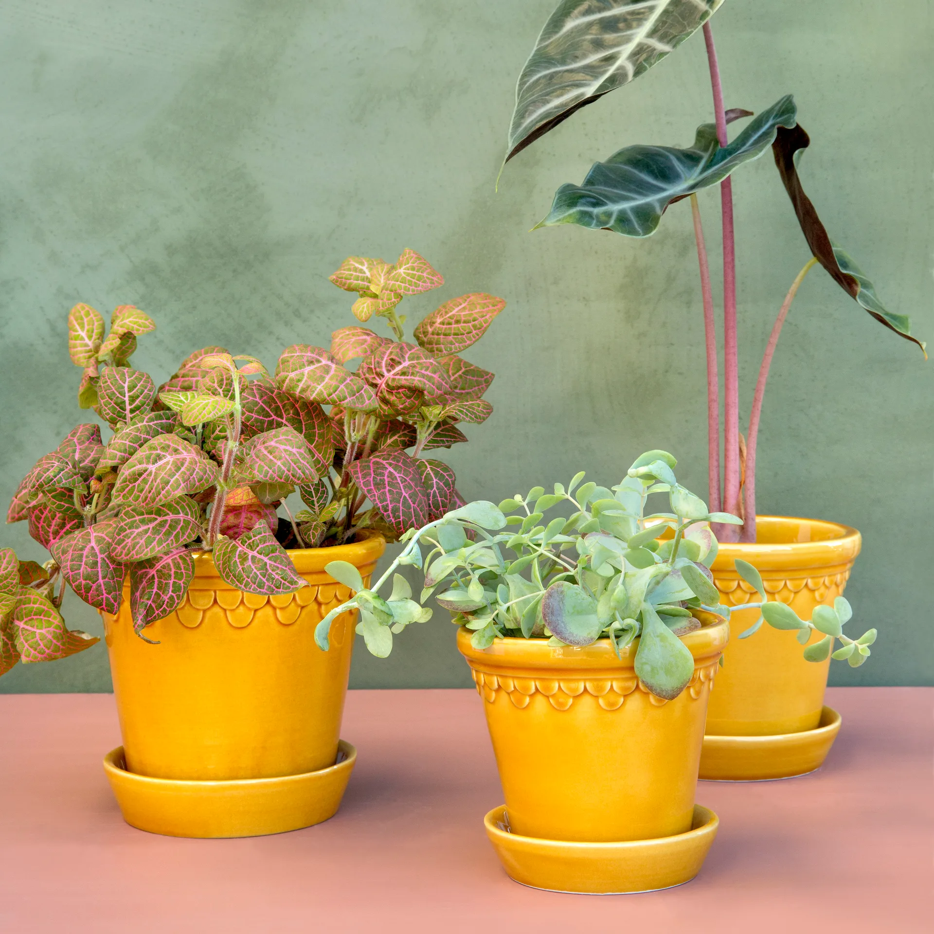 Københavner Blumentopf glasiert Ø16 cm, Gelb Bergs Potter
