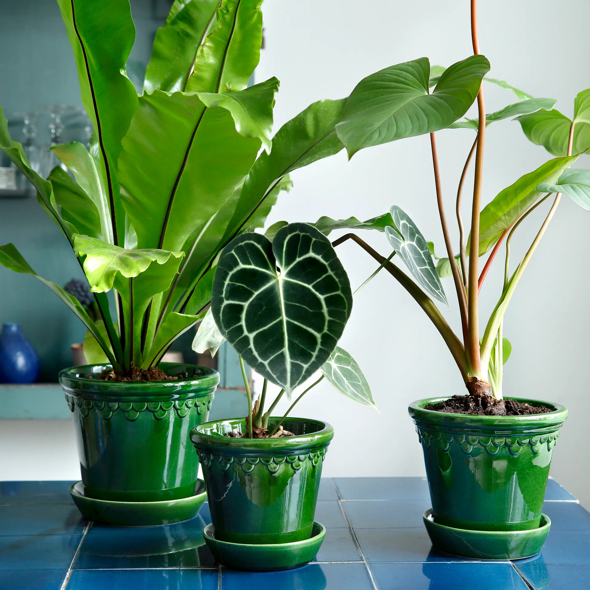 Københavner Blumentopf glasiert Ø18cm, Grün Bergs Potter