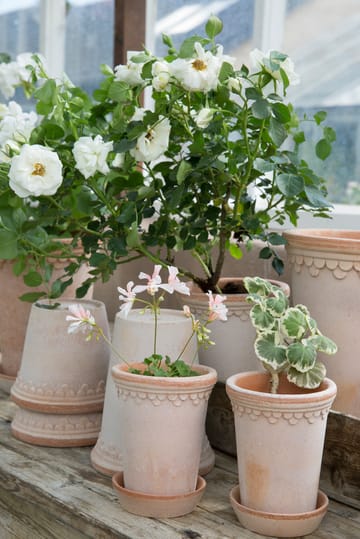 Københavner Blumentopf hoch Ø10cm - Rosa - Bergs Potter