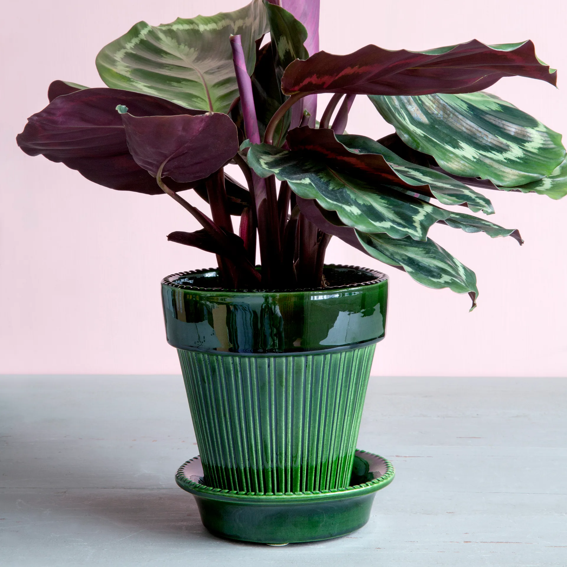 Simona Blumentopf glasiert Ø16cm, Grün Bergs Potter