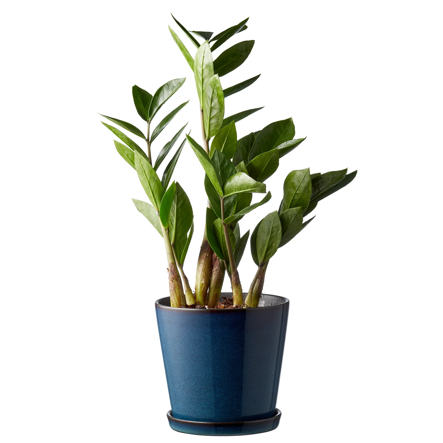 Bitz Blumentopf Ø14cm, Dunkelblau-schwarz Bitz