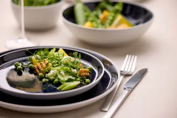 Bitz Teller gastro Ø 21cm - Weiß-dunkelblau - Bitz