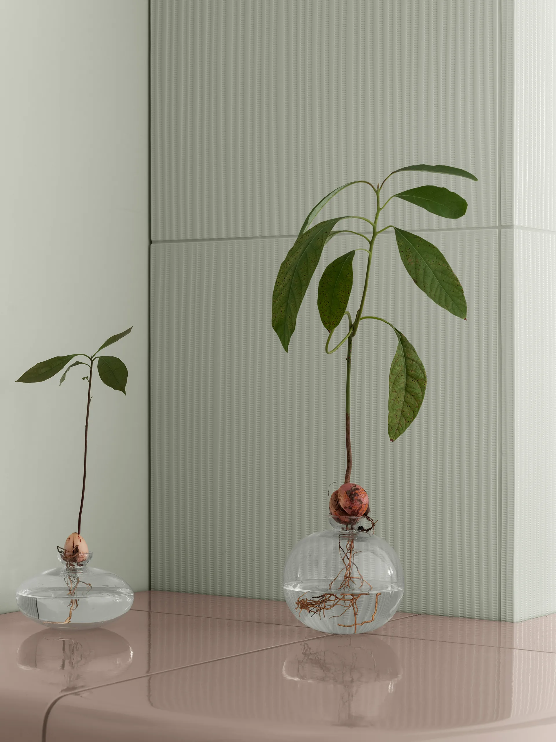 Avo Vase 14,5 cm, Klar blomus