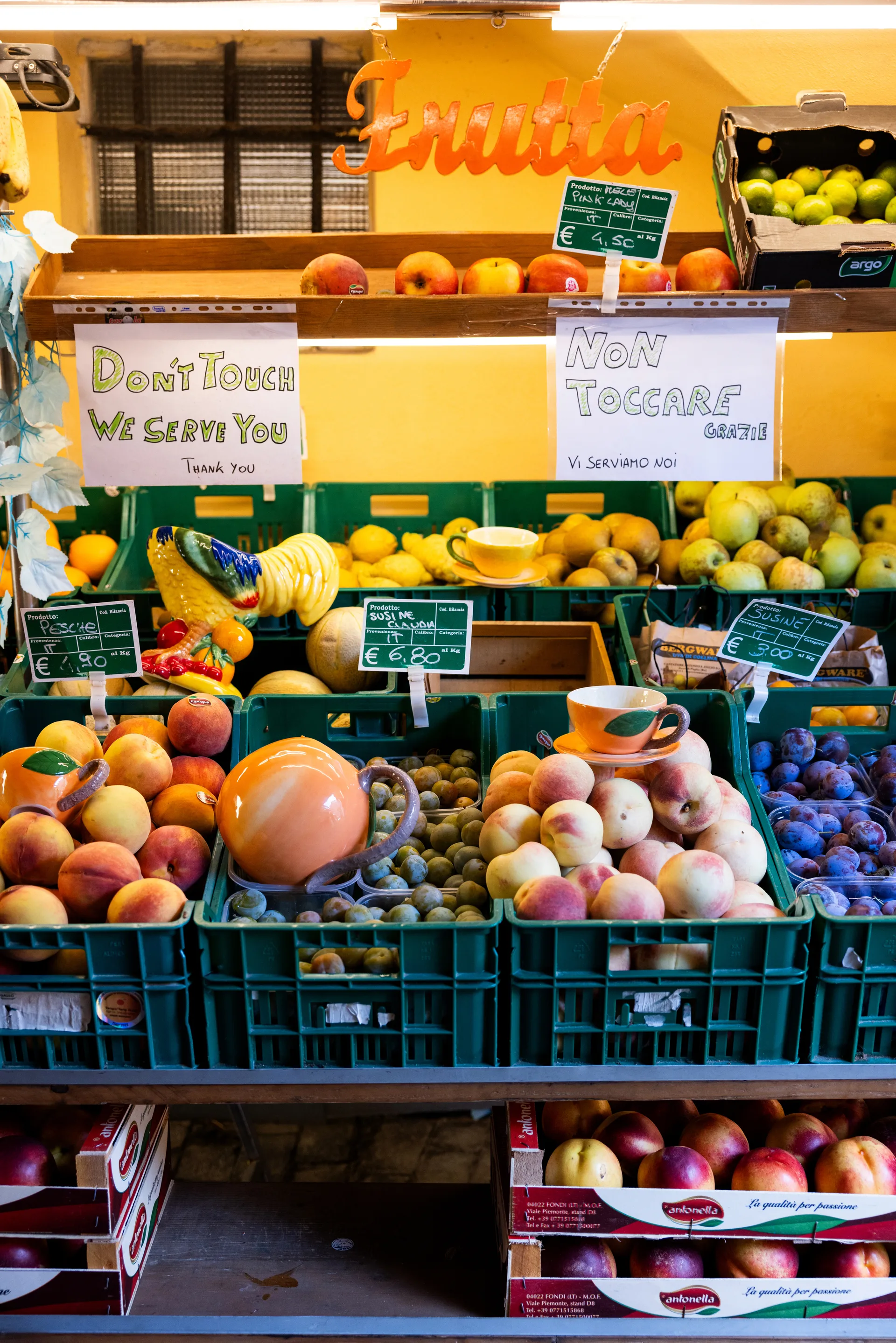 Fruity Rooster Schale, Gelb Byon