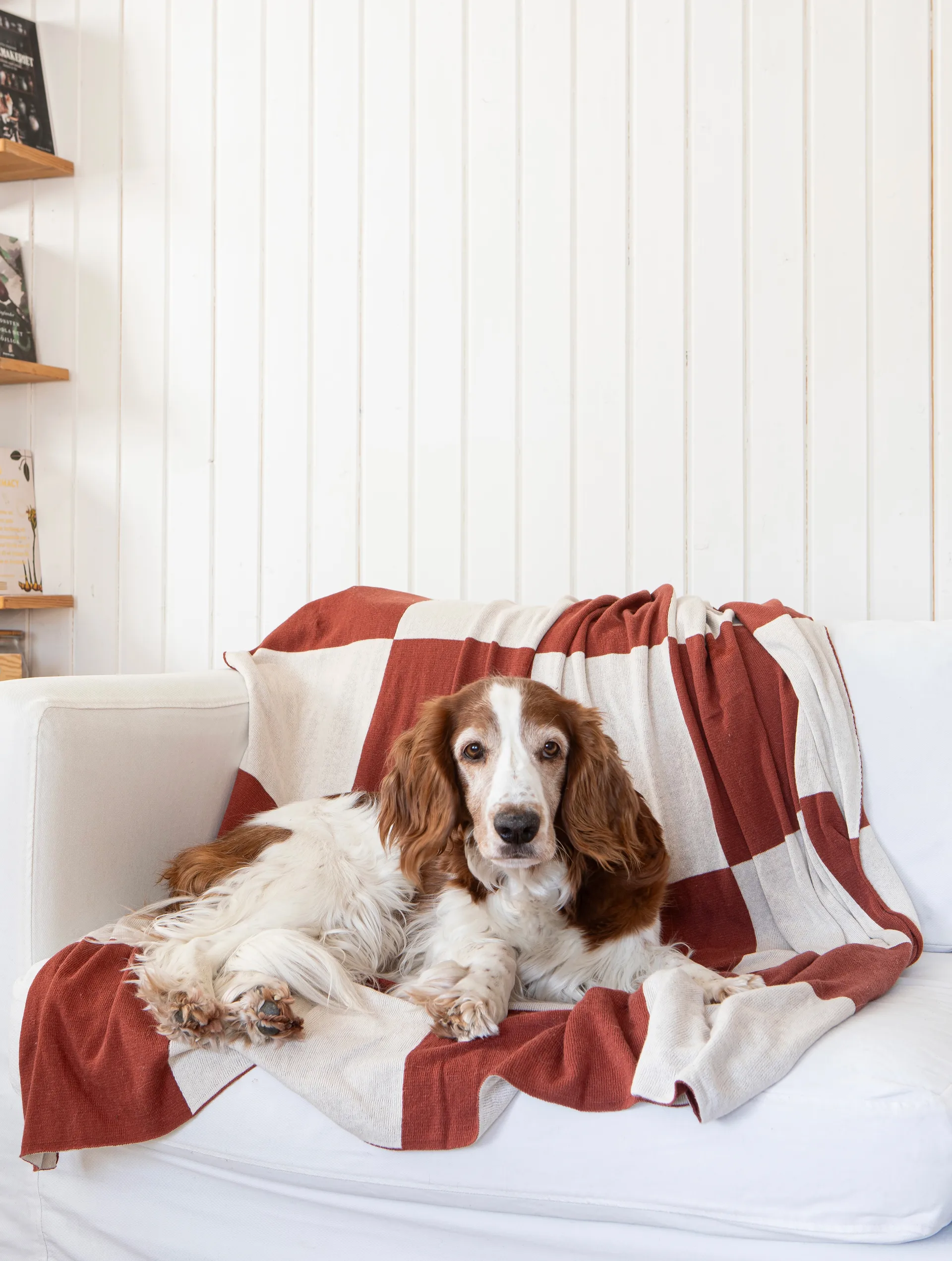 Quadratische Decke 130x170 cm, Dark Brown Classic Collection