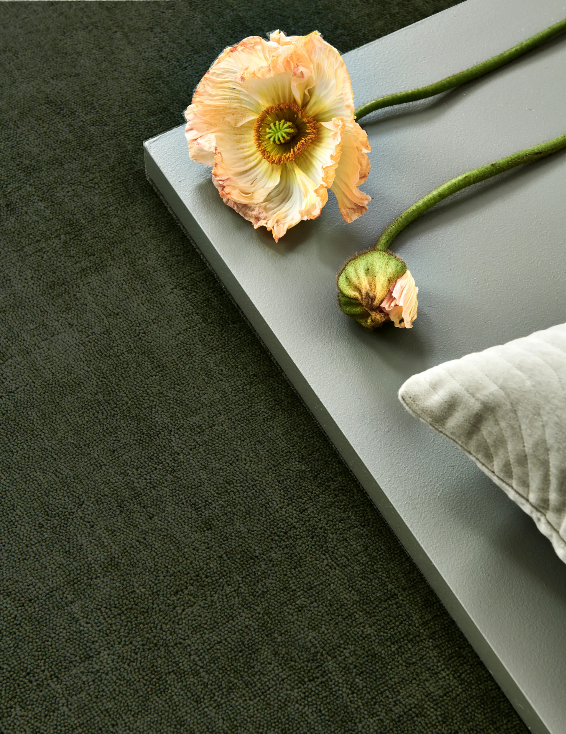 Solid Teppich, Green, 200x300 cm Classic Collection