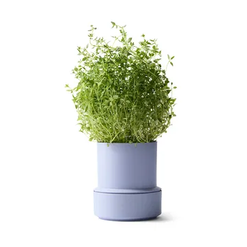 Billund Selbstbewässernder Kräutertopf - Lavender - Crushgrind