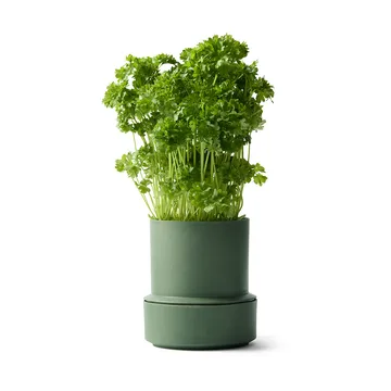 Billund Selbstbewässernder Kräutertopf - Parsley - Crushgrind
