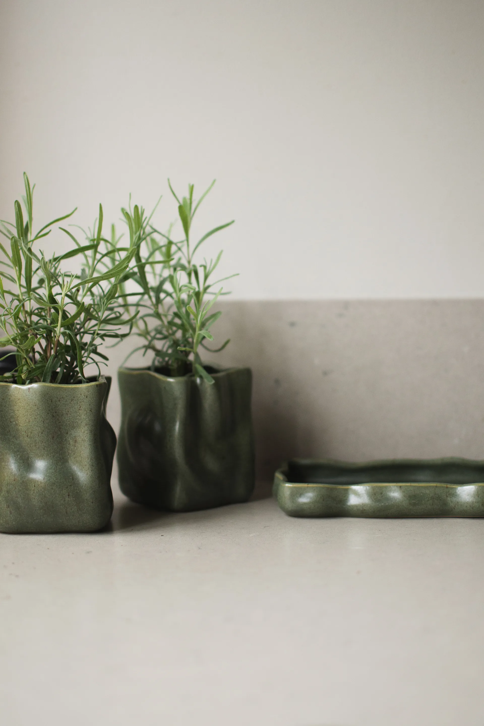 Herb Kräutertopf 3-teilig, Moss DBKD