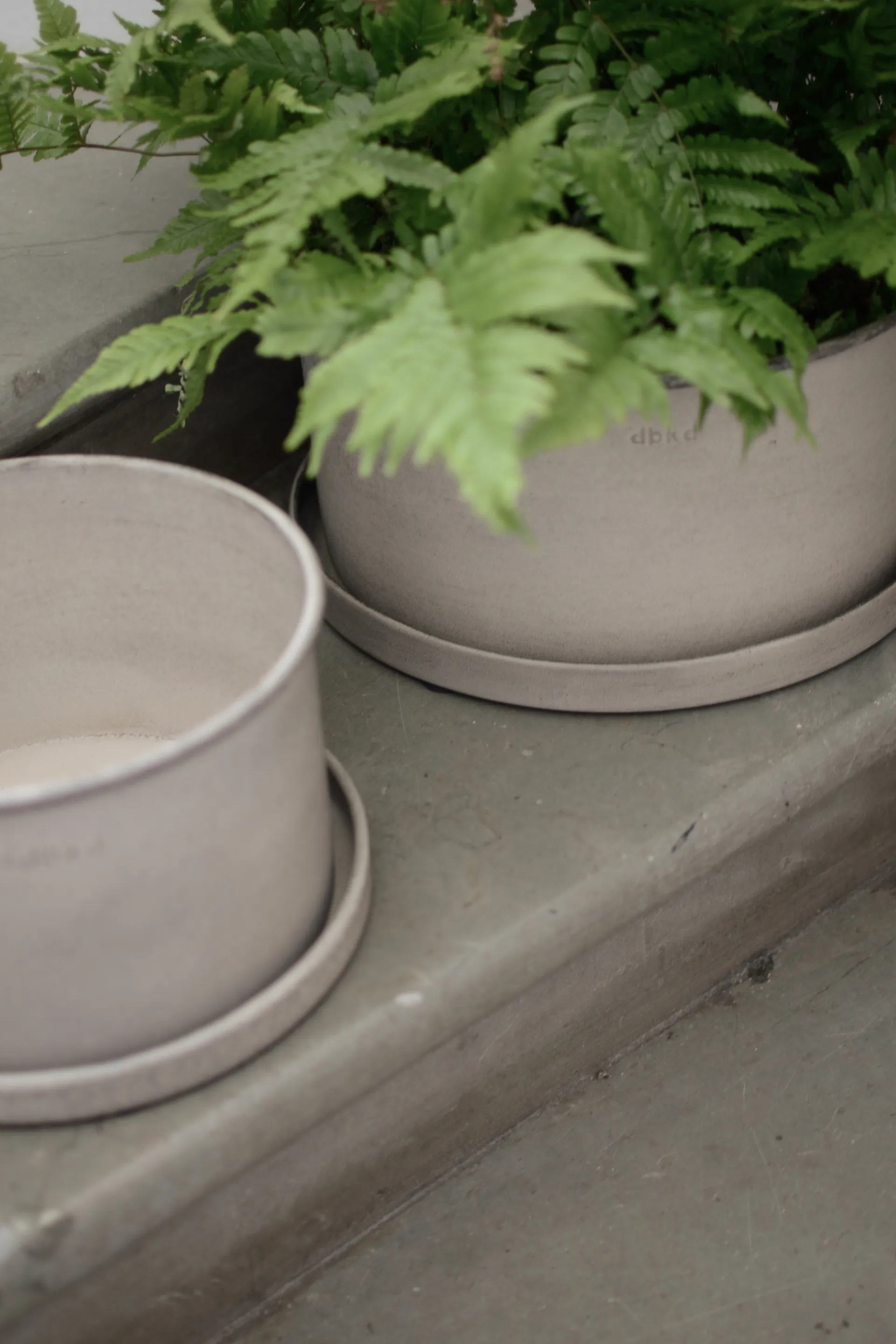 Plant bowl Blumentopf 2er Pack, Beige DBKD