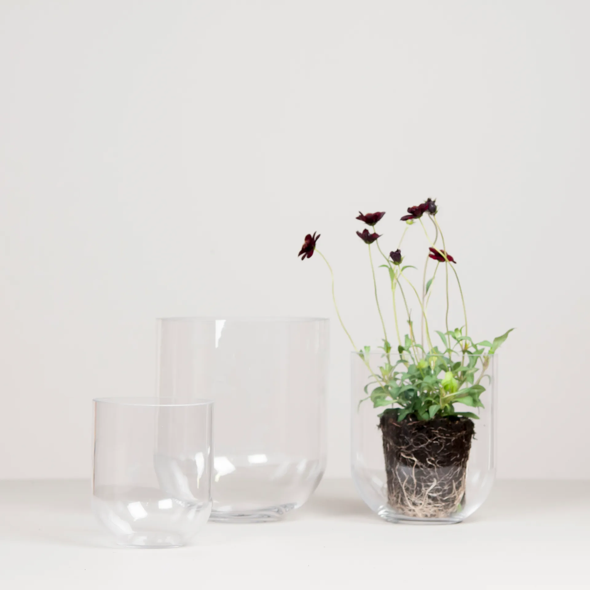 Simple Glasvase medium, Clear DBKD