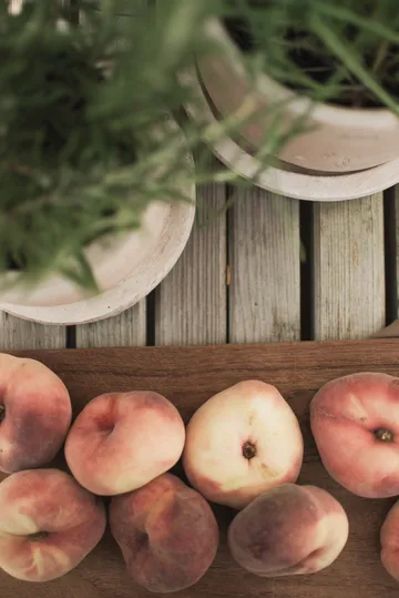 Terra Blumentopf - Sand, Ø16x16 cm - DBKD