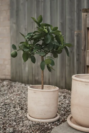 Terra Blumentopf - Sand, Ø23x26 cm - DBKD