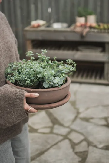 Terra bowl Blumentopf - Brown, Ø30x10,5 cm - DBKD