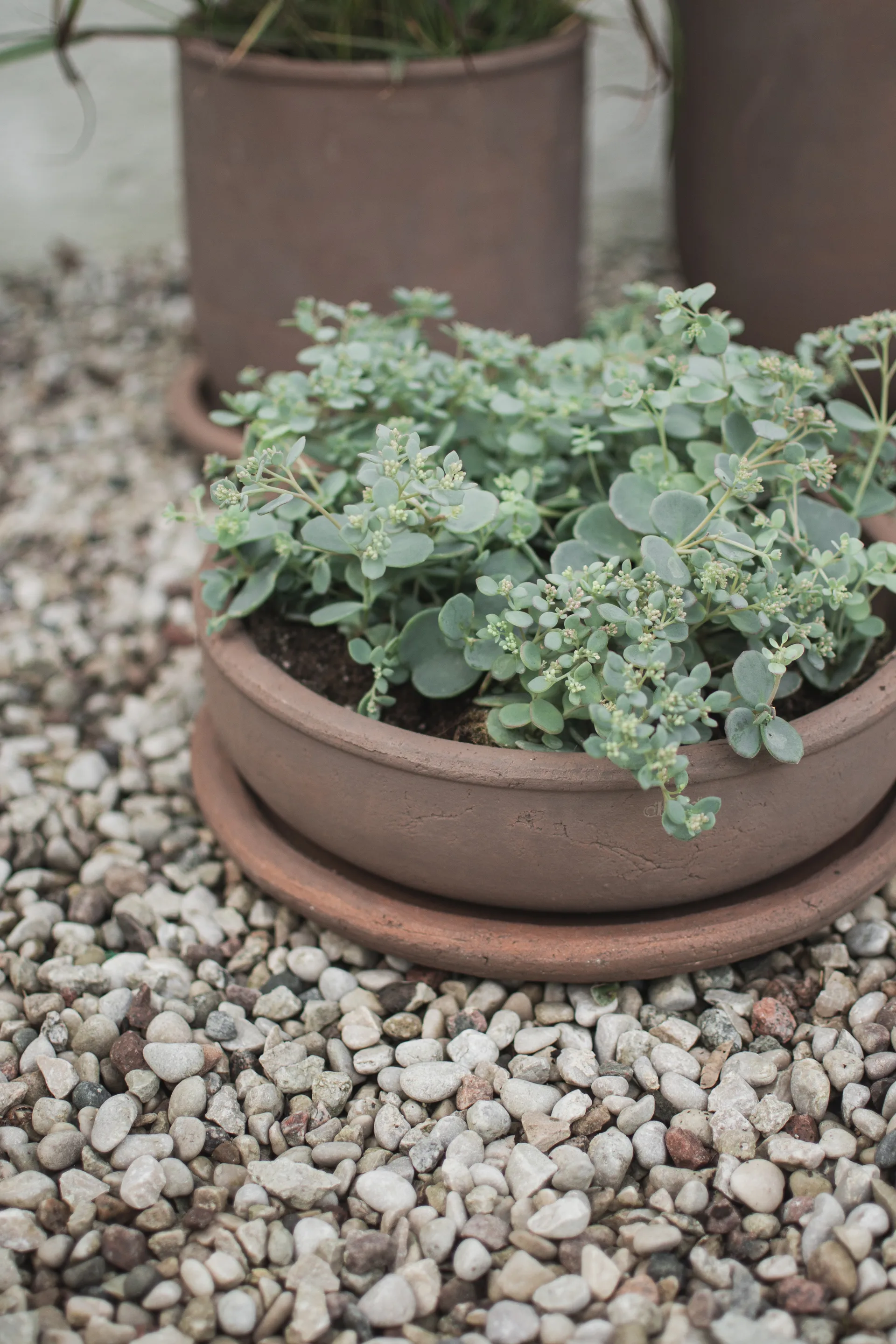 Terra bowl Blumentopf, Brown, Ø30x10,5 cm DBKD