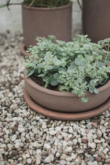 Terra bowl Blumentopf - Brown, Ø30x10,5 cm - DBKD