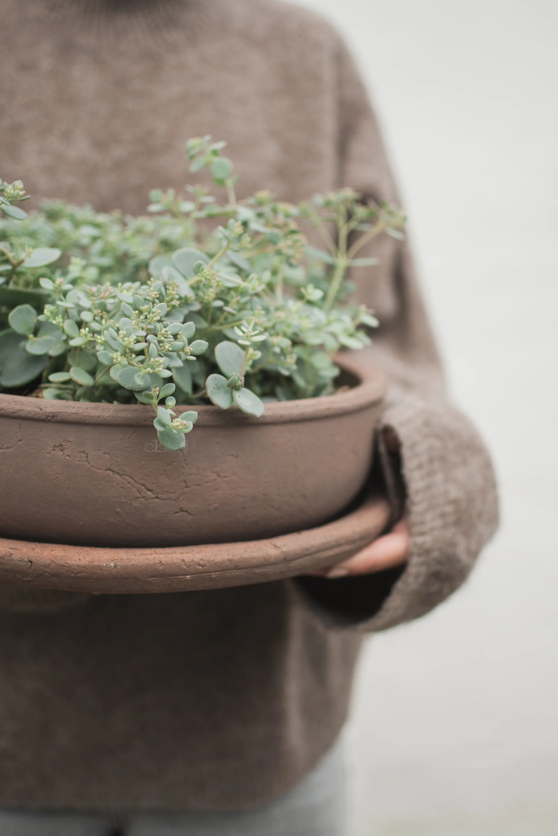 Terra bowl Blumentopf, Brown, Ø30x10,5 cm DBKD