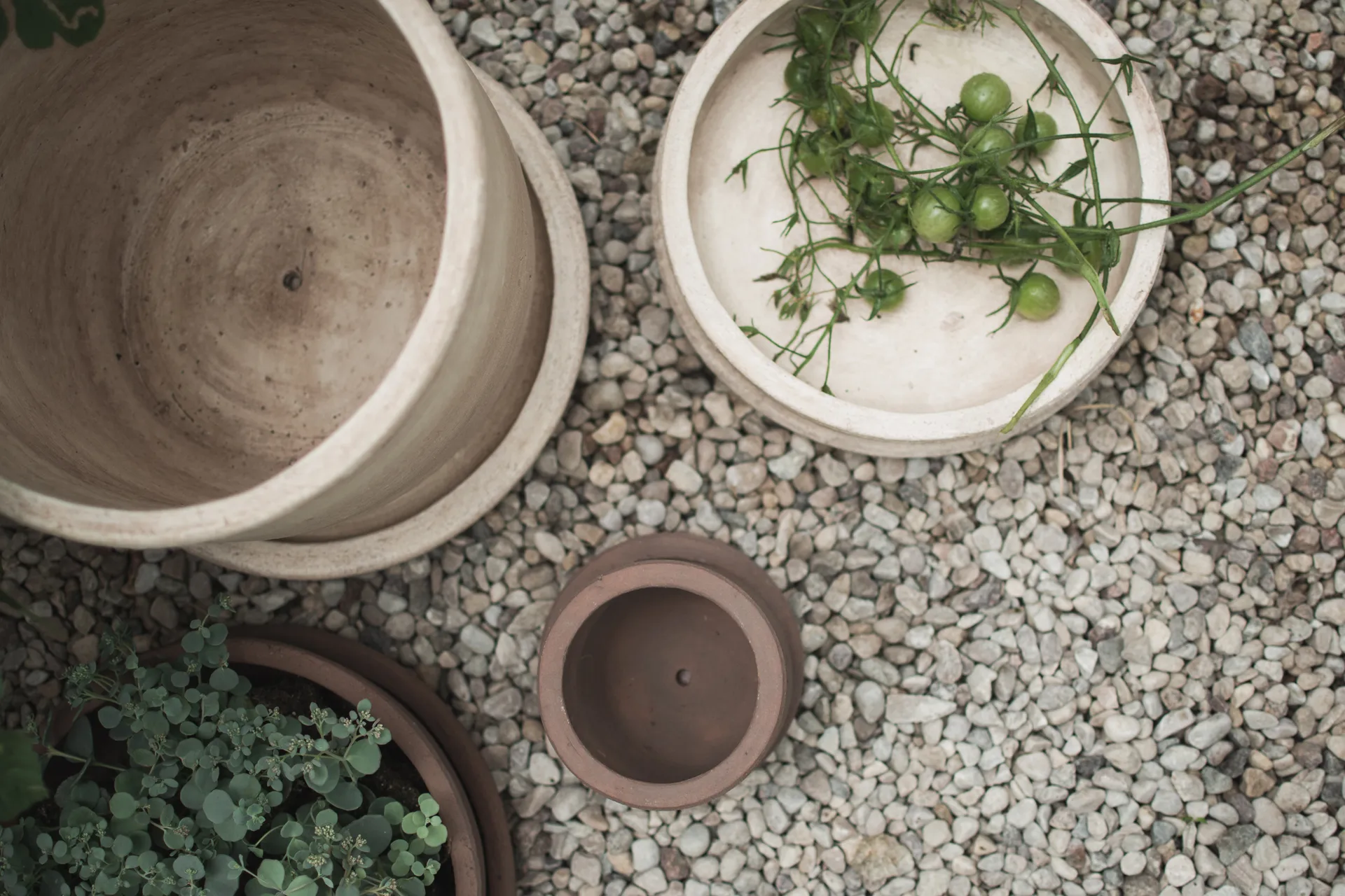 Terra bowl Blumentopf, Sand, Ø30x10,5 cm DBKD