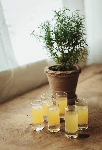 Saba Schnapsglas - Raka, 6er-Pack, 6 cl - Dorre