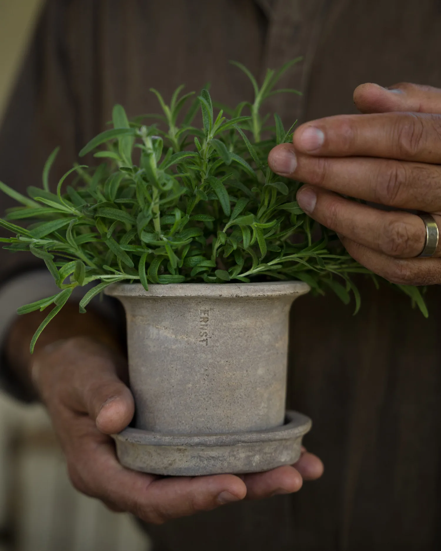 Ernst Terrakotta-Topf mit Untersetzer, Ø12x10 cm ERNST