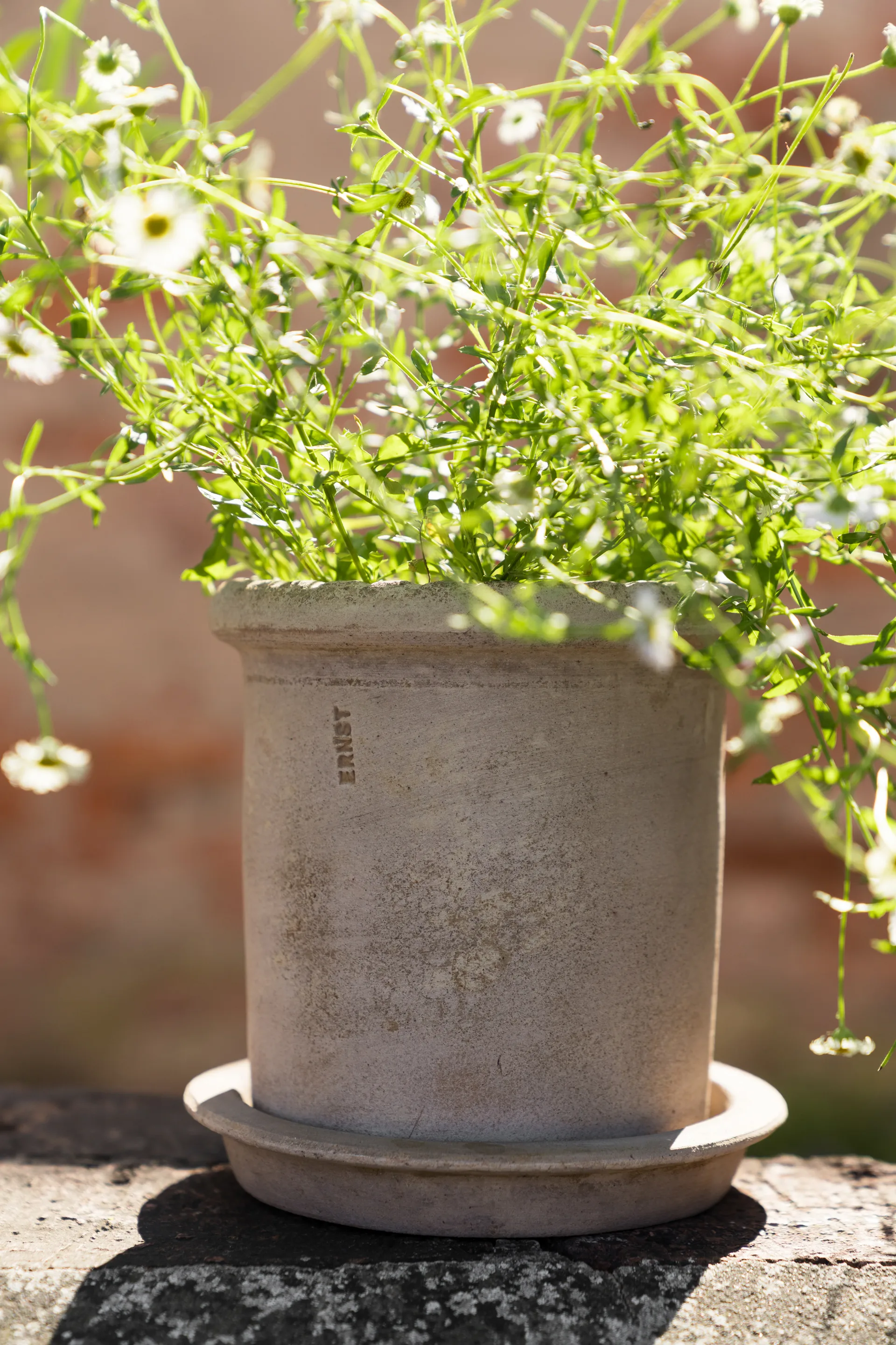 Ernst Terrakotta-Topf mit Untersetzer, Ø16x16 cm ERNST