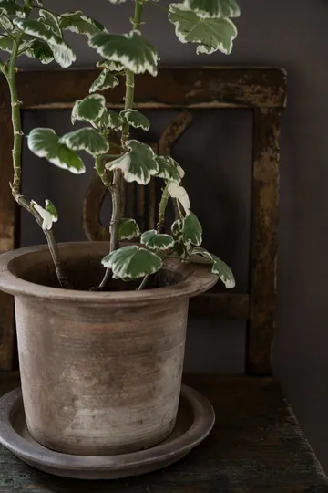 Ernst Terrakotta-Topf mit Untersetzer - Ø24 x 17cm - ERNST