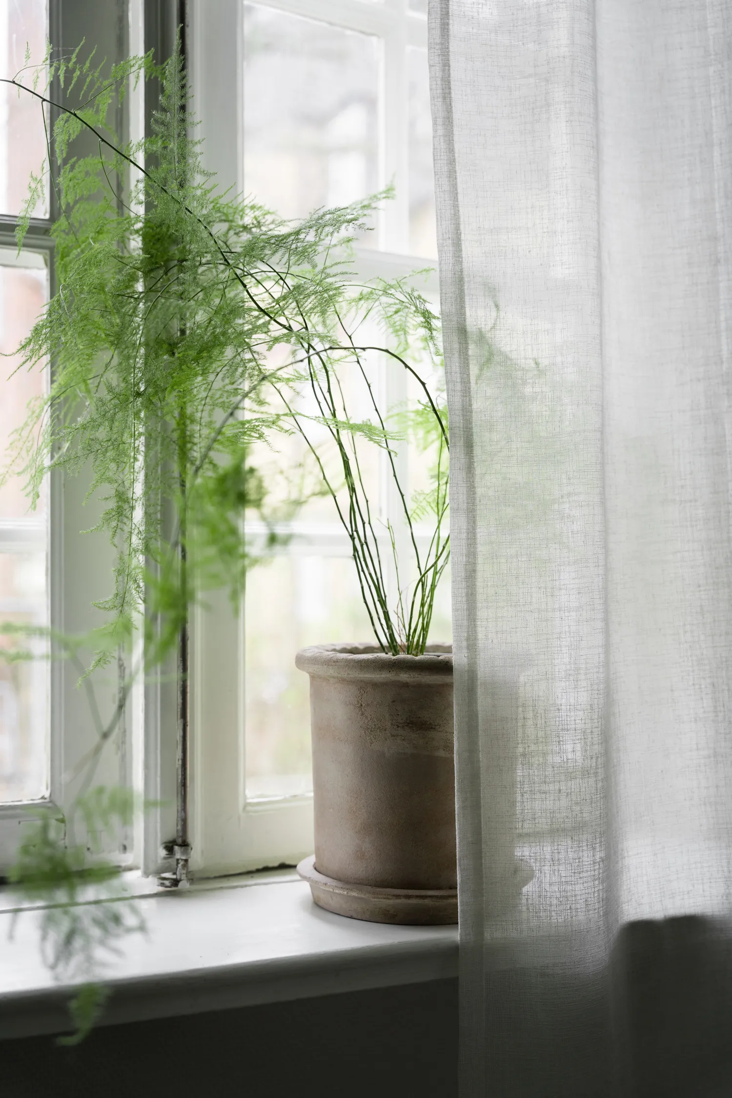 Ernst Terrakotta-Topf mit Untersetzer, Ø25×28 cm ERNST