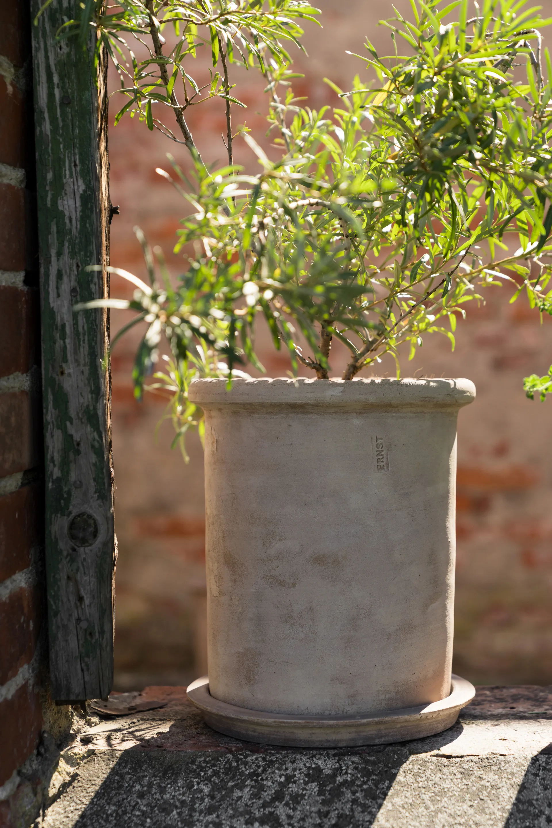 Ernst Terrakotta-Topf mit Untersetzer, Ø25×28 cm ERNST