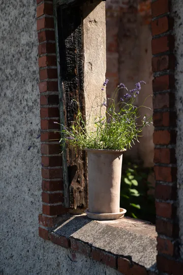 Ernst Terrakotta-Topf mit Untersetzer - Ø25x35 cm - ERNST
