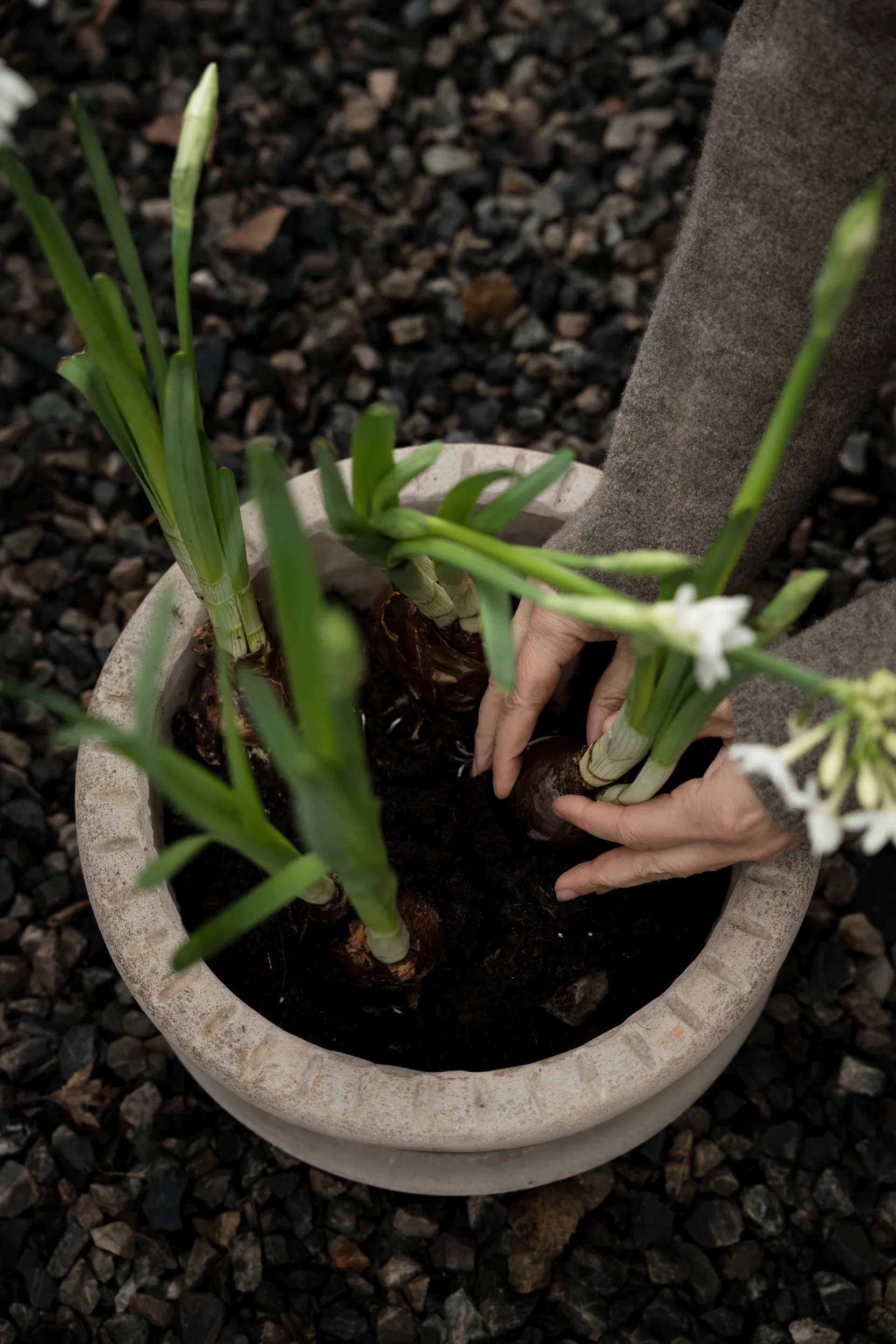 Ernst Terrakotta-Topf mit Untersetzer, Ø33×12 cm ERNST