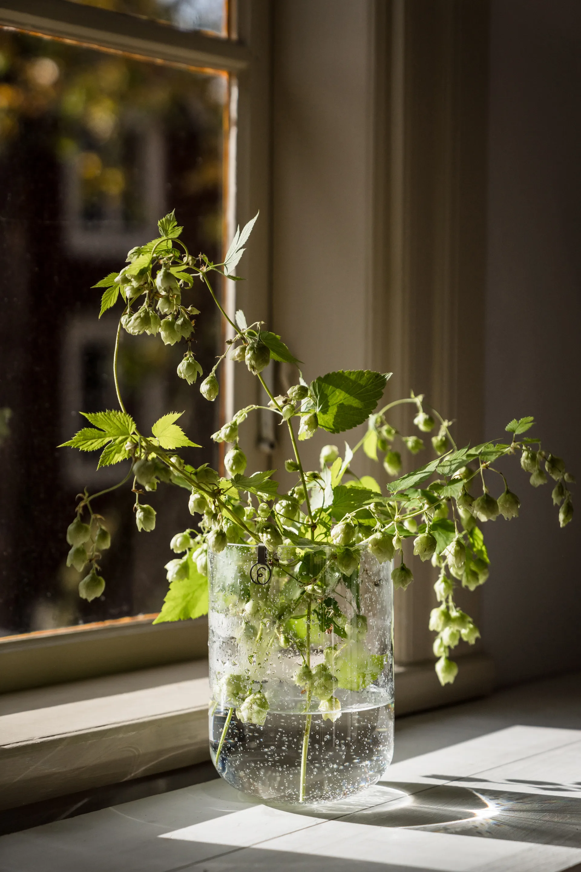 Ernst Vase aus Glas mit Blasen 18 cm, Klar ERNST